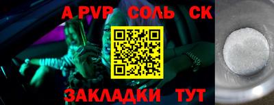 шишки Новодвинск