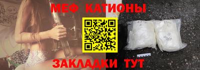 шишки Новодвинск