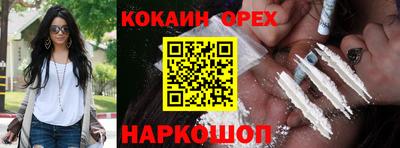 шишки Новодвинск