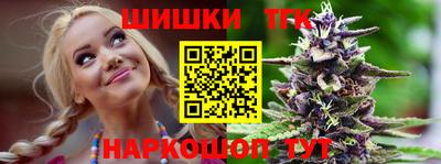 шишки Новодвинск