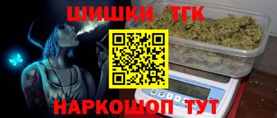 шишки Новодвинск
