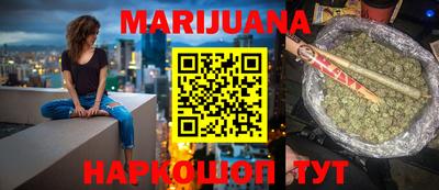 шишки Новодвинск