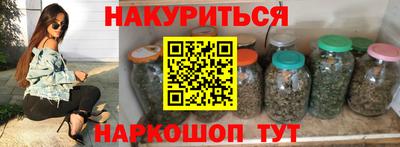 шишки Новодвинск
