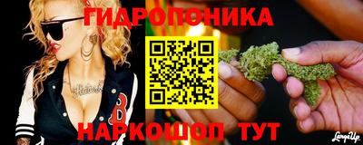 шишки Новодвинск